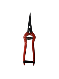  قیچی میوه چین نوک بلند سر کج ممتاز