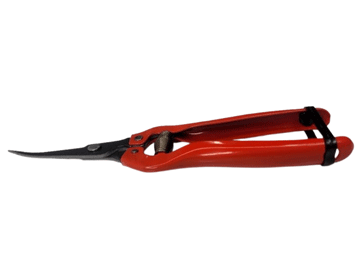  قیچی میوه چین نوک بلند سر کج ممتاز