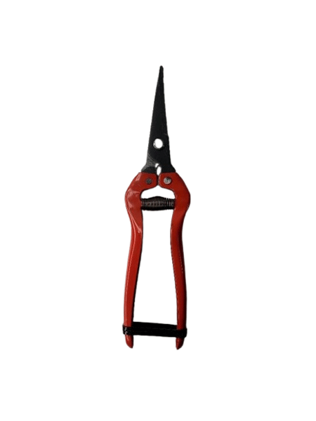 bigbag_قیچیمیوهچیننوکبلندسرکجممتاز_85470.png